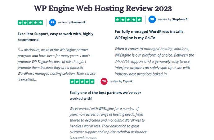 Top WP Engine Reviews